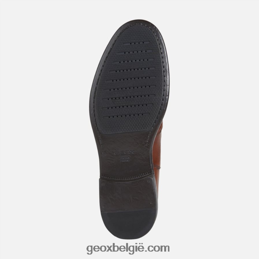 Terence man bruine katoen Geox Z2BD0B918