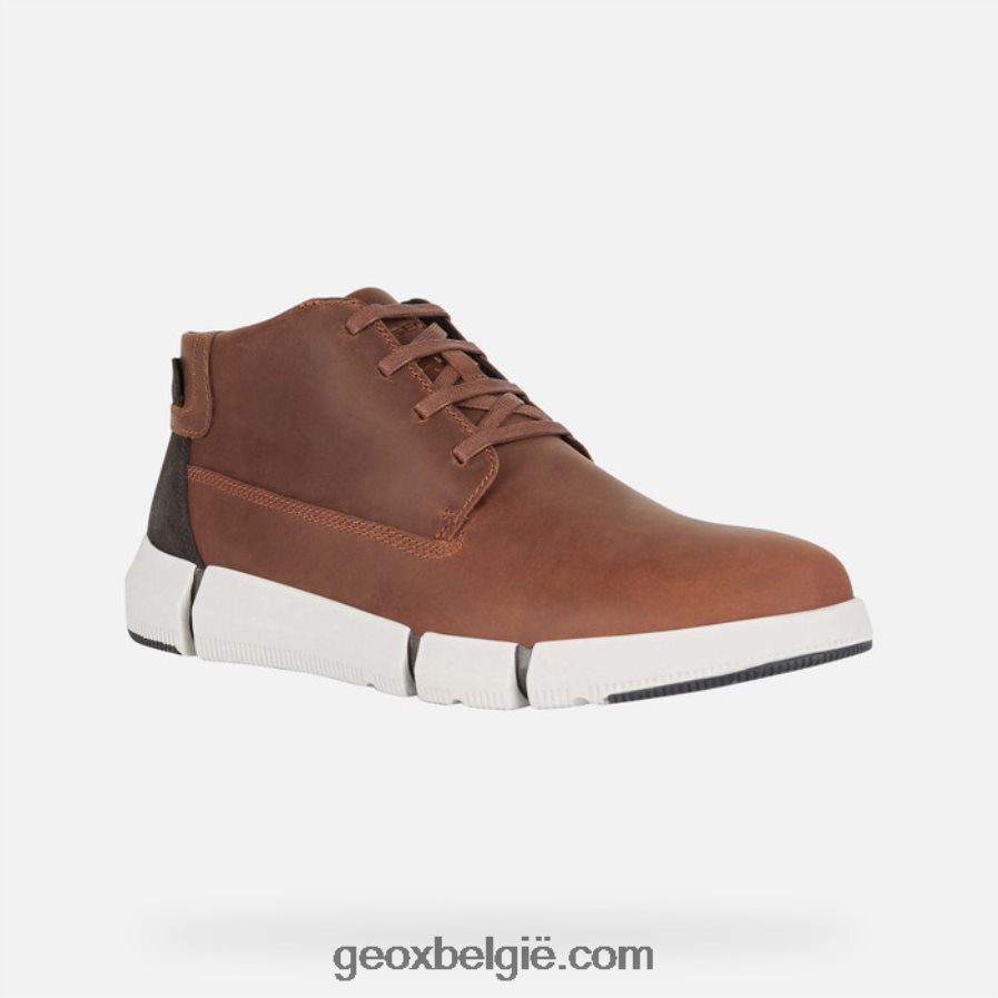 adacter man bruin Geox Z2BD0B668