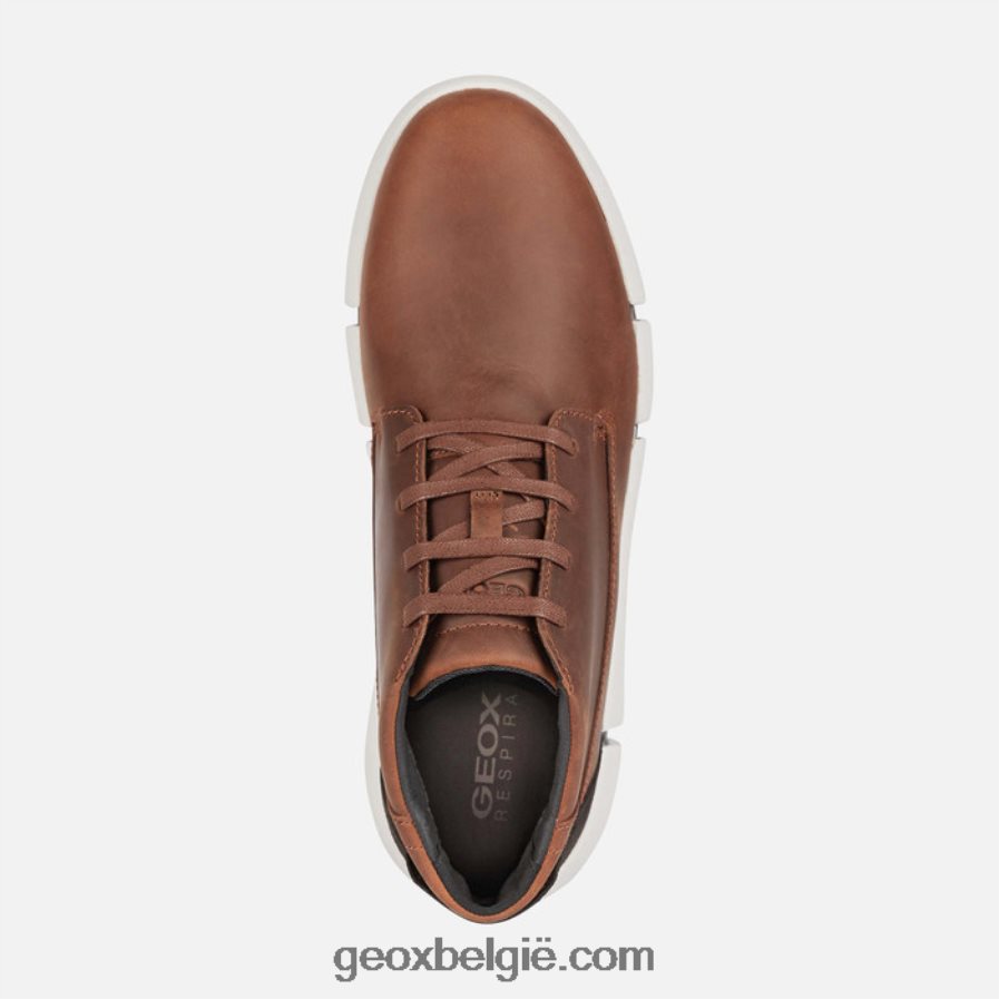 adacter man bruin Geox Z2BD0B668