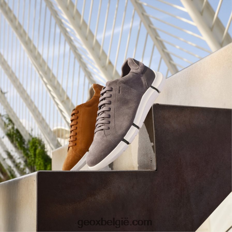 adacteur man donkere steen Geox Z2BD0B648