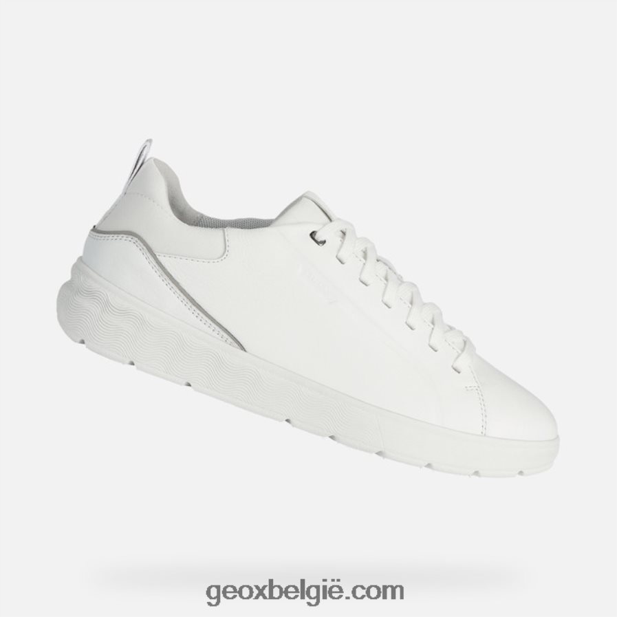 sferische ec4 man wit Geox Z2BD0B678