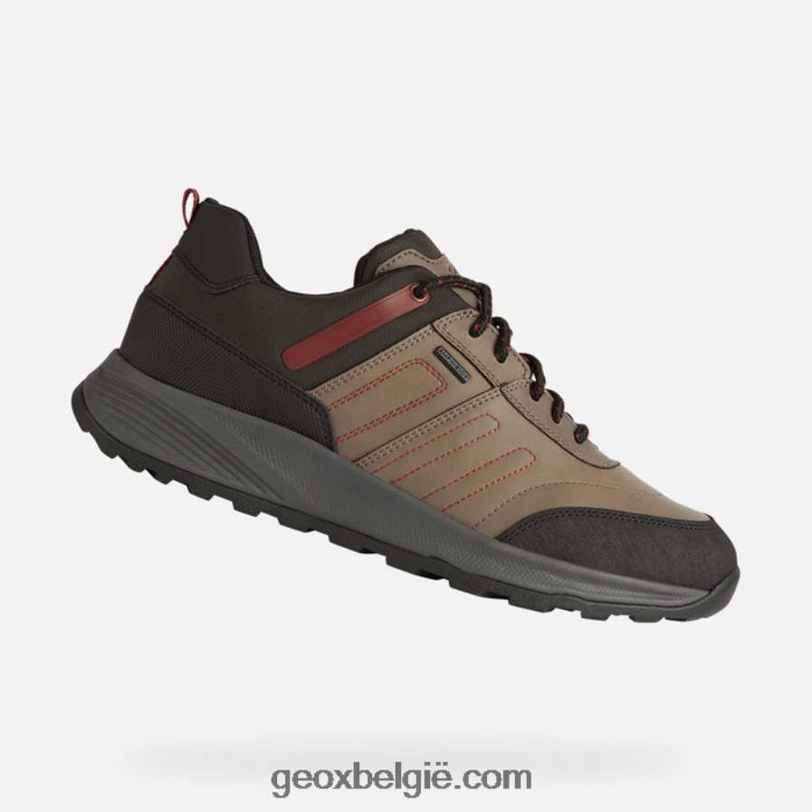 terrestre abx man duif grijs Geox Z2BD0B857