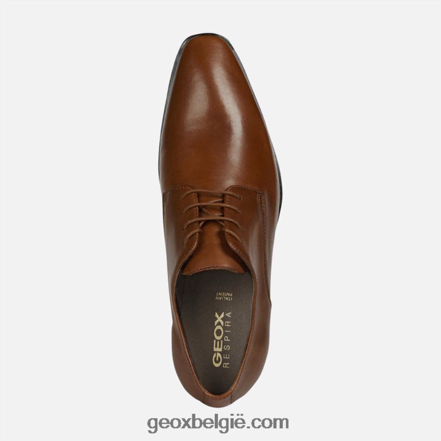 levensgenieter donkere cognac Geox Z2BD0B1811