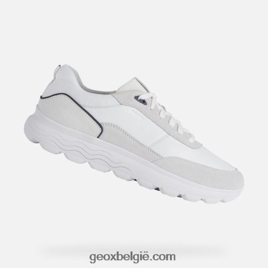 verstand / gebroken verstand