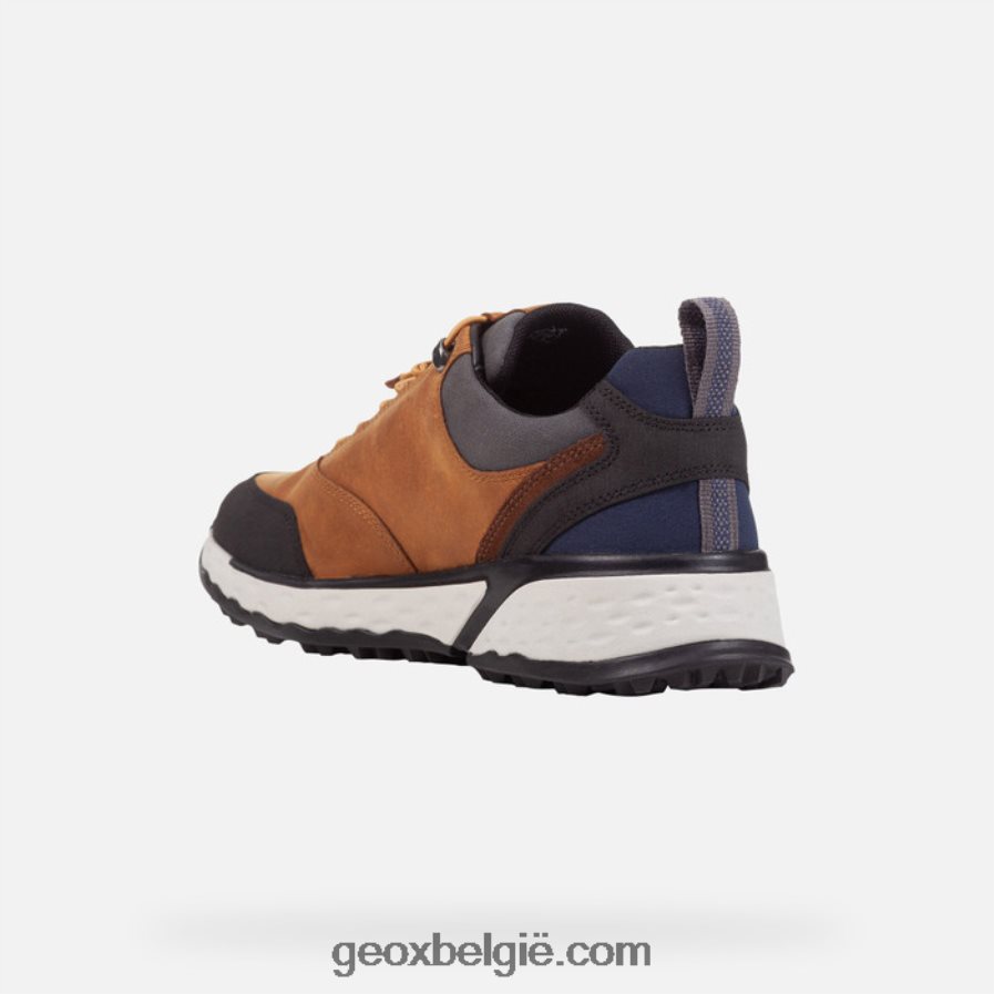 sterrato abx man mosterd Geox Z2BD0B864