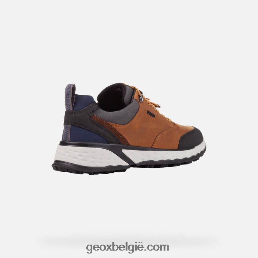 sterrato abx man mosterd Geox Z2BD0B864