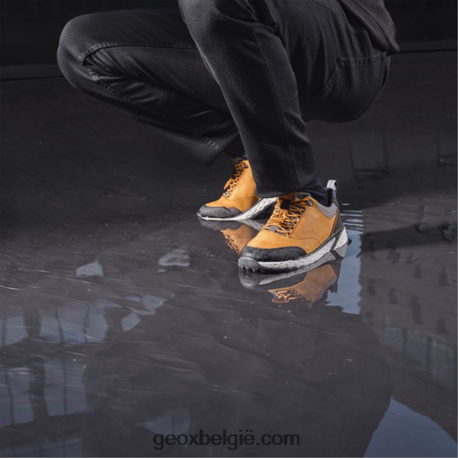 sterrato abx man mosterd Geox Z2BD0B864