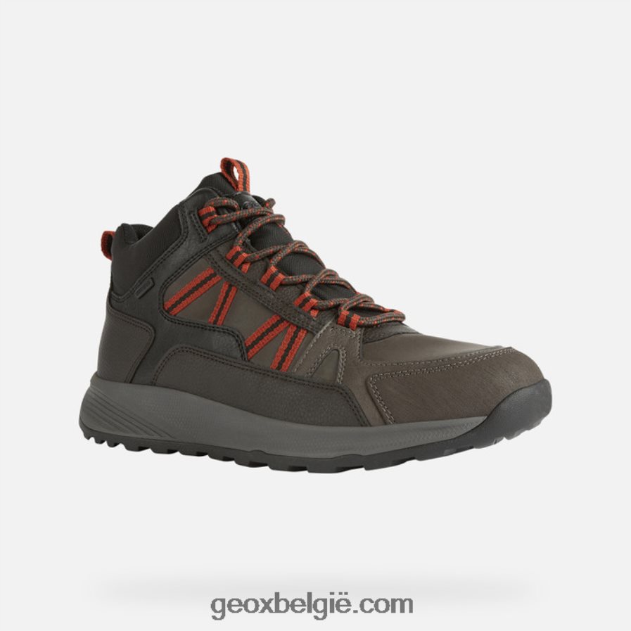 terrestre abx man donkere koffie Geox Z2BD0B837