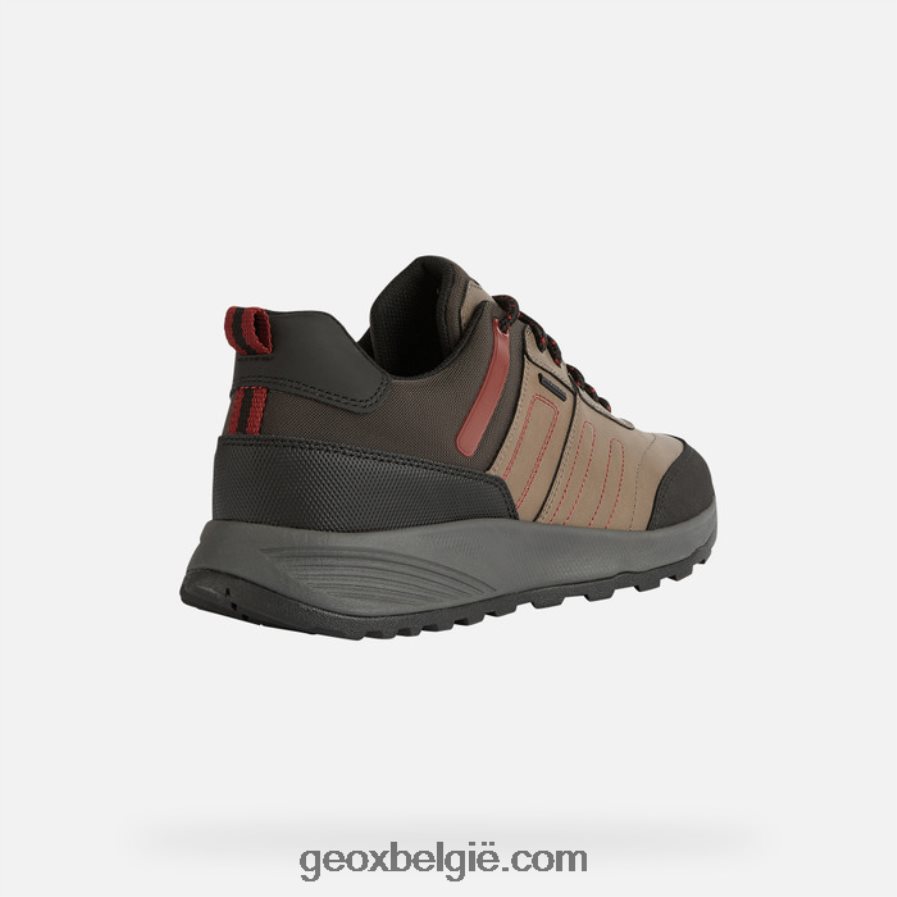 terrestre abx man duif grijs Geox Z2BD0B857