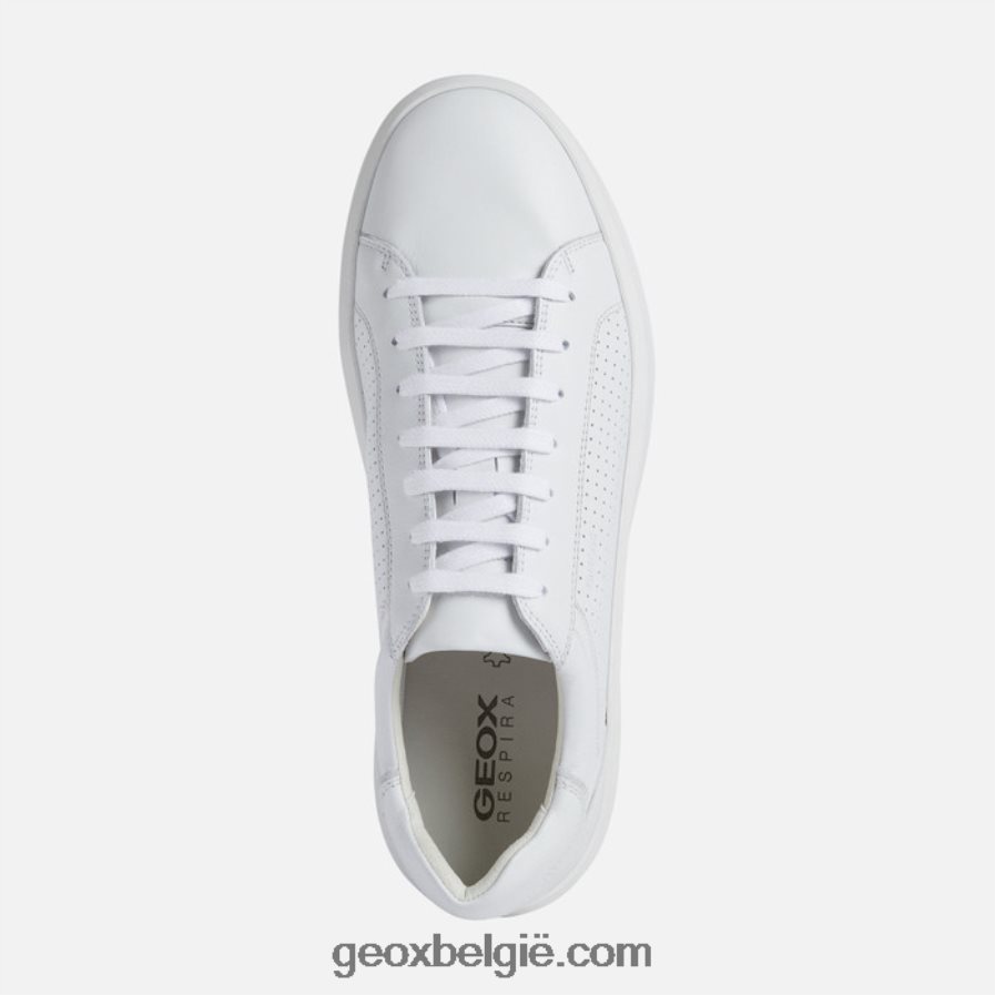 velletri man wit Geox Z2BD0B640