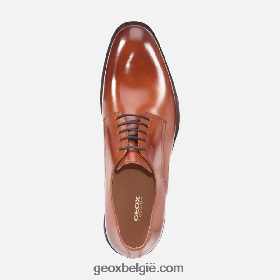 zeg maar man cognac Geox Z2BD0B764