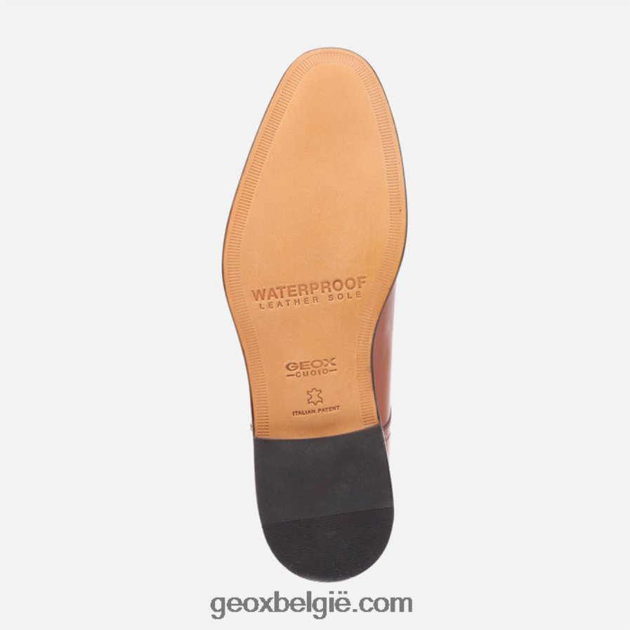 zeg maar man cognac Geox Z2BD0B764