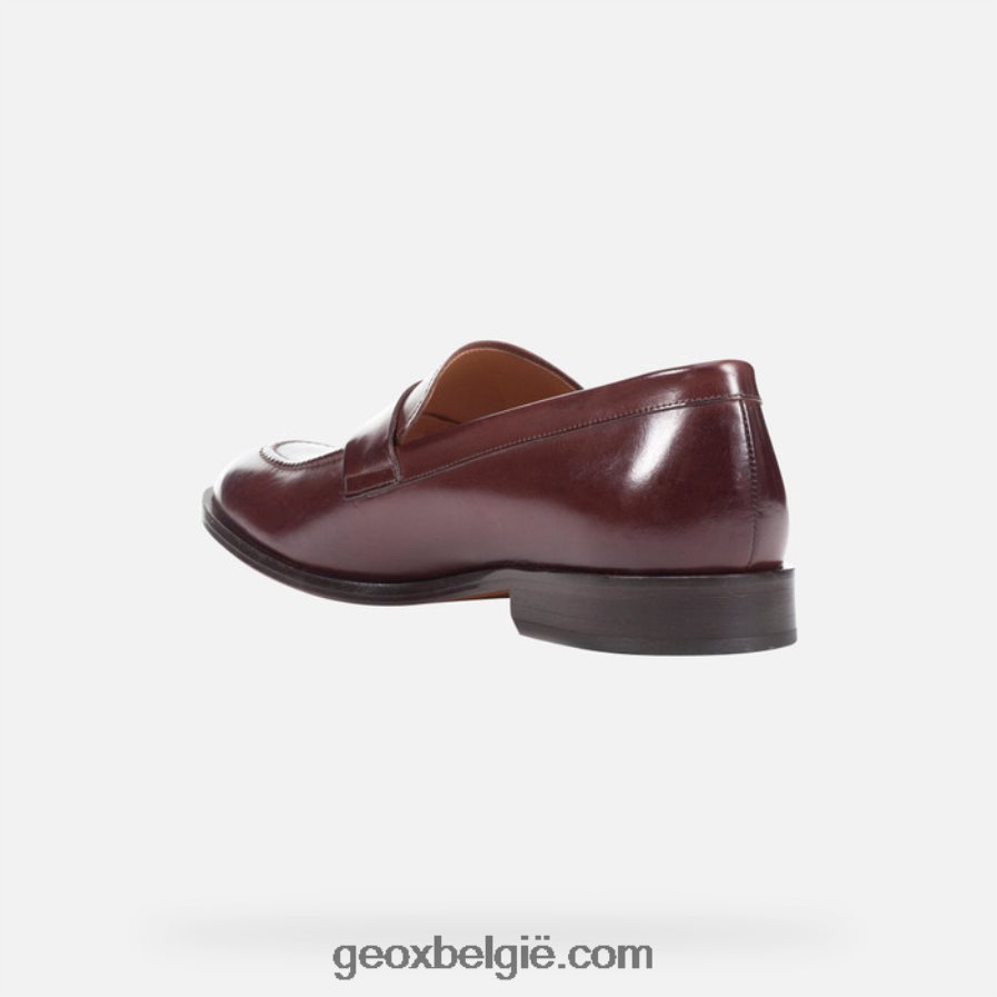 zeg maar man ebbehout Geox Z2BD0B752