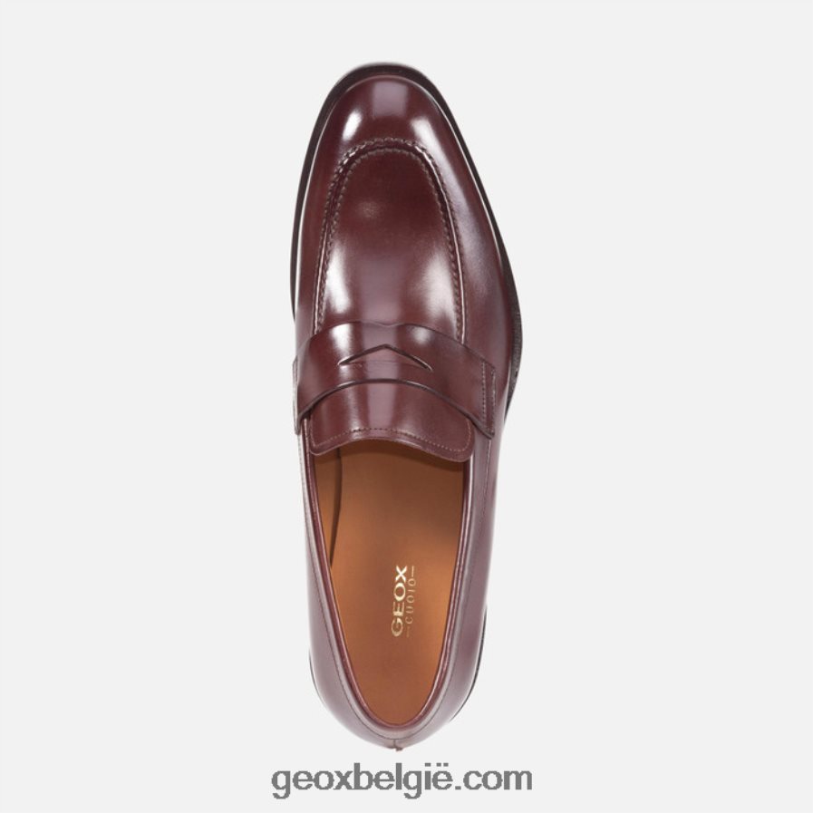 zeg maar man ebbehout Geox Z2BD0B752