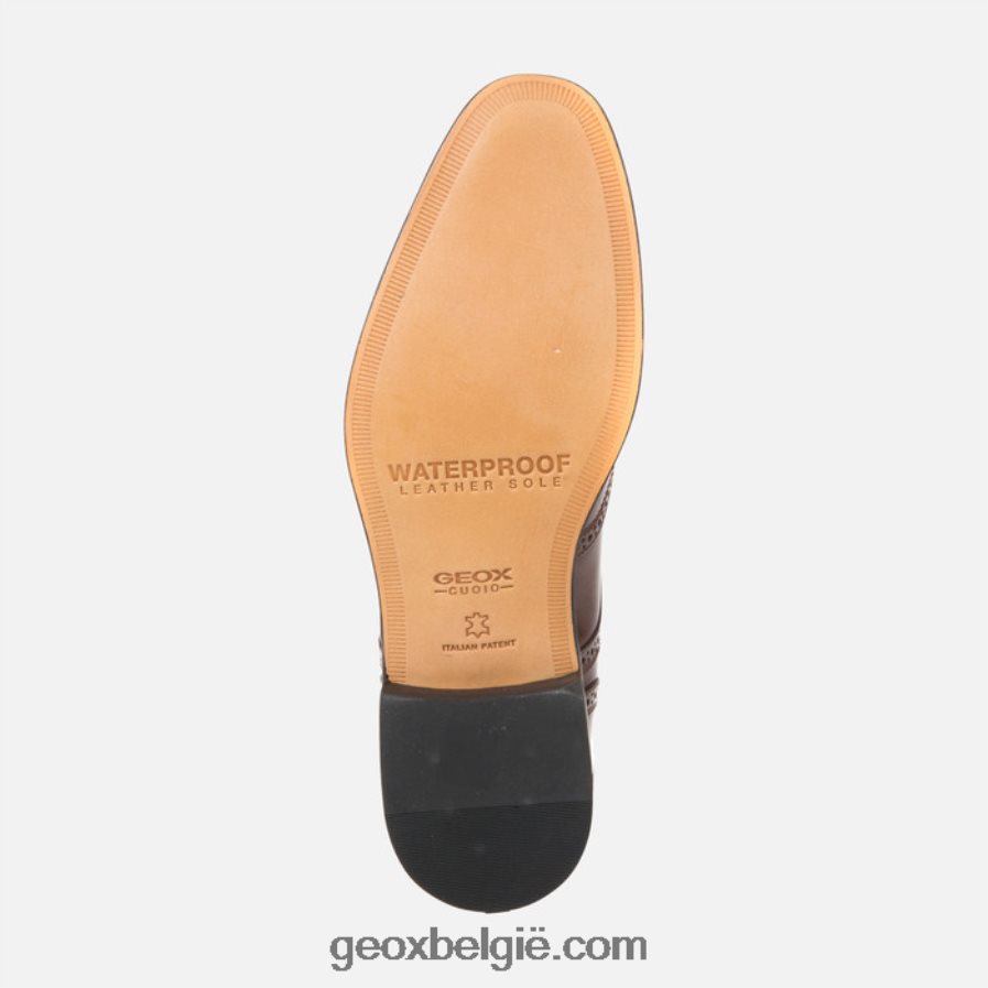 zeg maar man ebbehout Geox Z2BD0B910